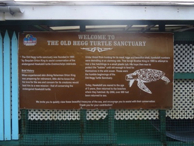 Old Hegg Turtle Sanctuary Old Hegg Turtle Sanctuary